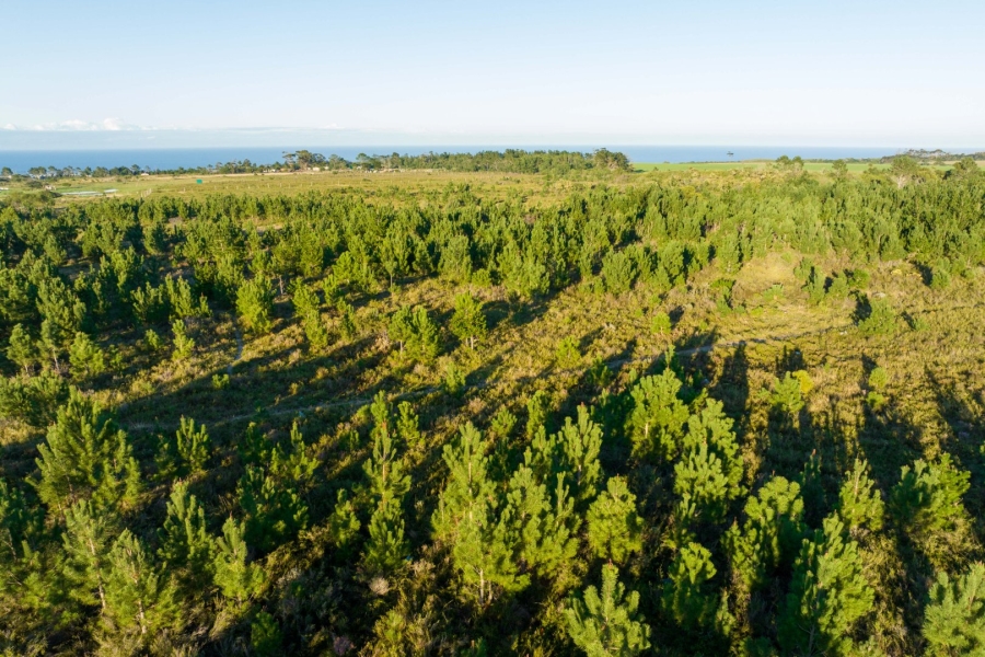 Commercial Property for Sale in Plettenberg Bay Rural Western Cape